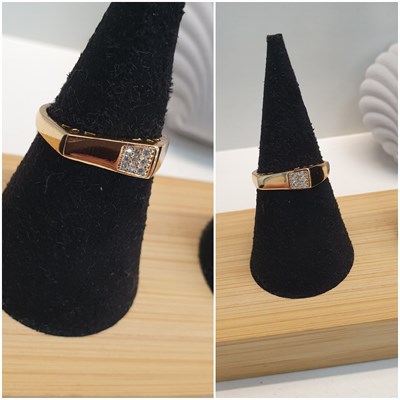 Кольцо оп-13106 13106